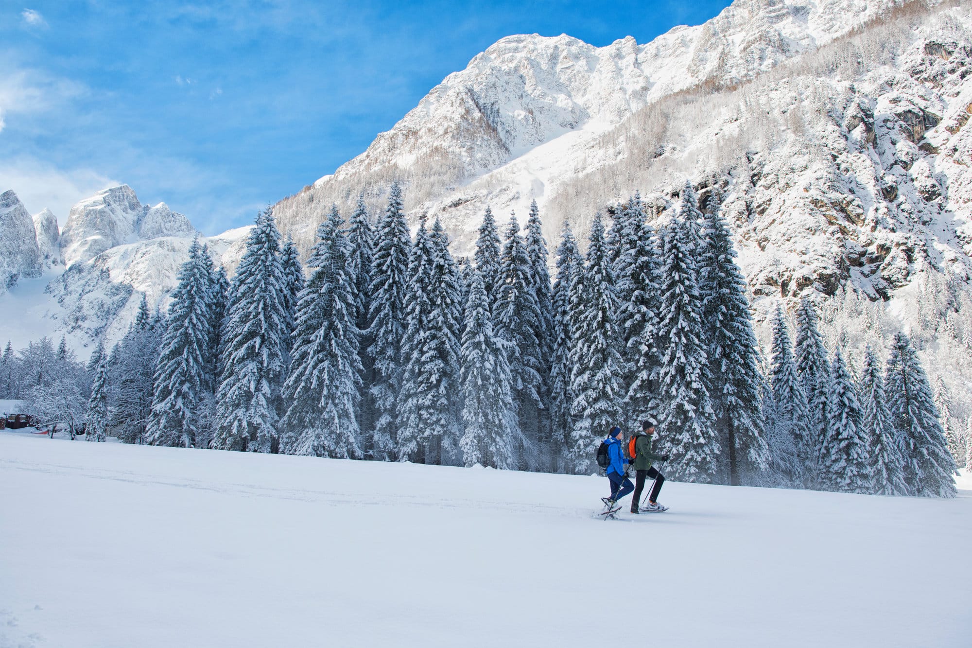 course et activités hiver