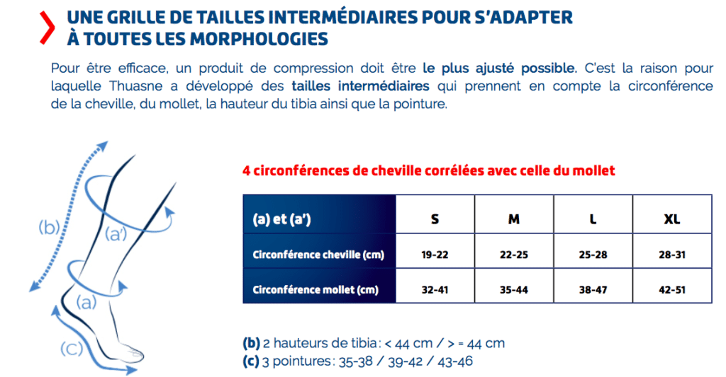 Tableau qui répertorie les différentes tailles en fonction de la morphologie.