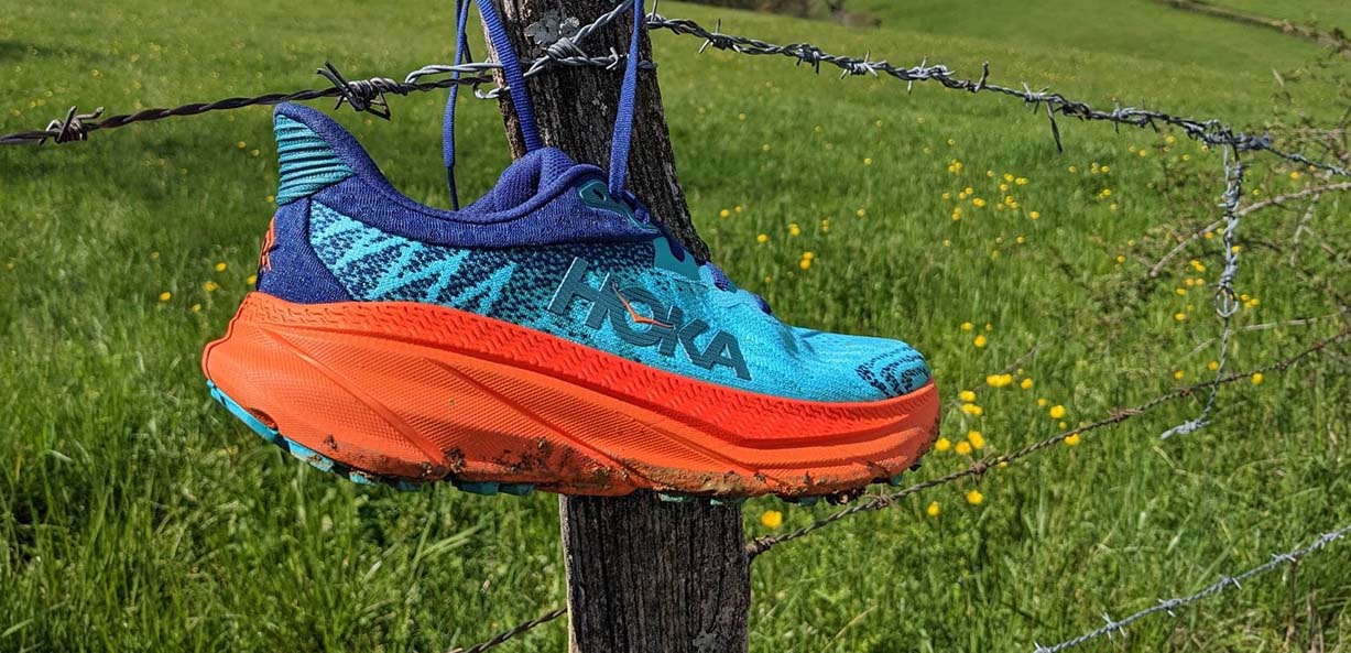 Chaussures de trail Femme - Terre de Running