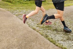 Chaussure de trail Asics GT 2000 14 TR